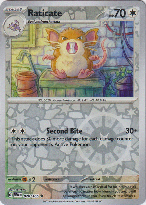 Raticate
