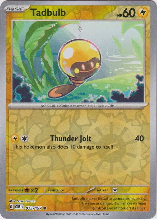 Tadbulb