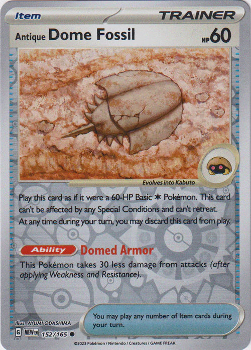 Antique Dome Fossil