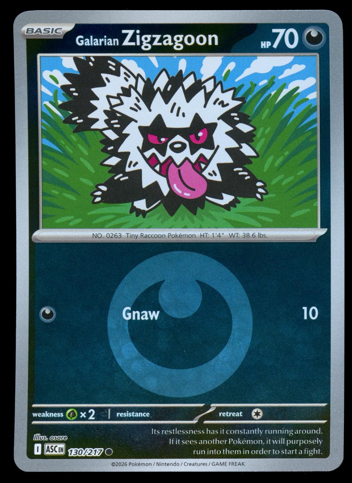 Galarian Zigzagoon