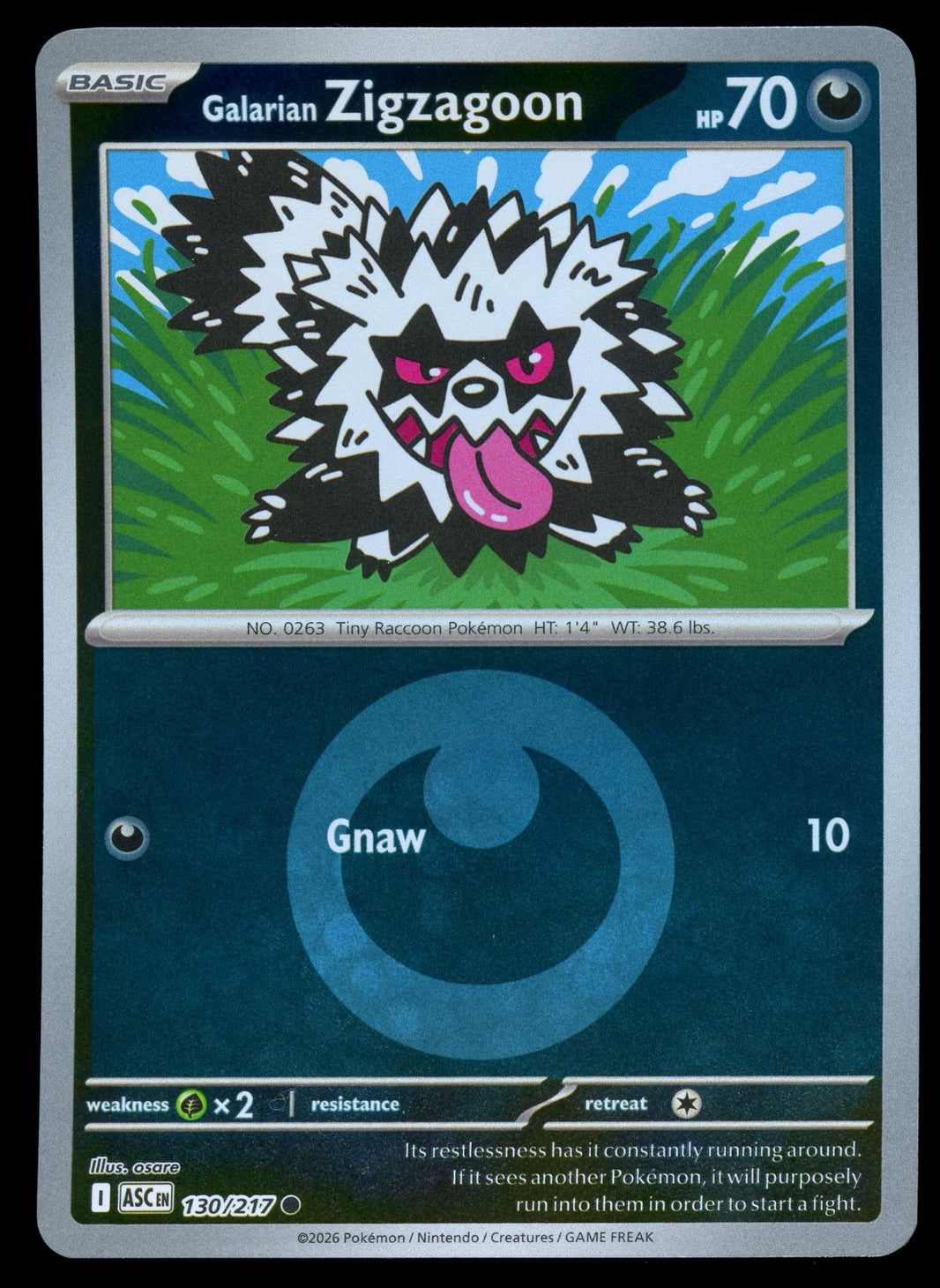 Galarian Zigzagoon
