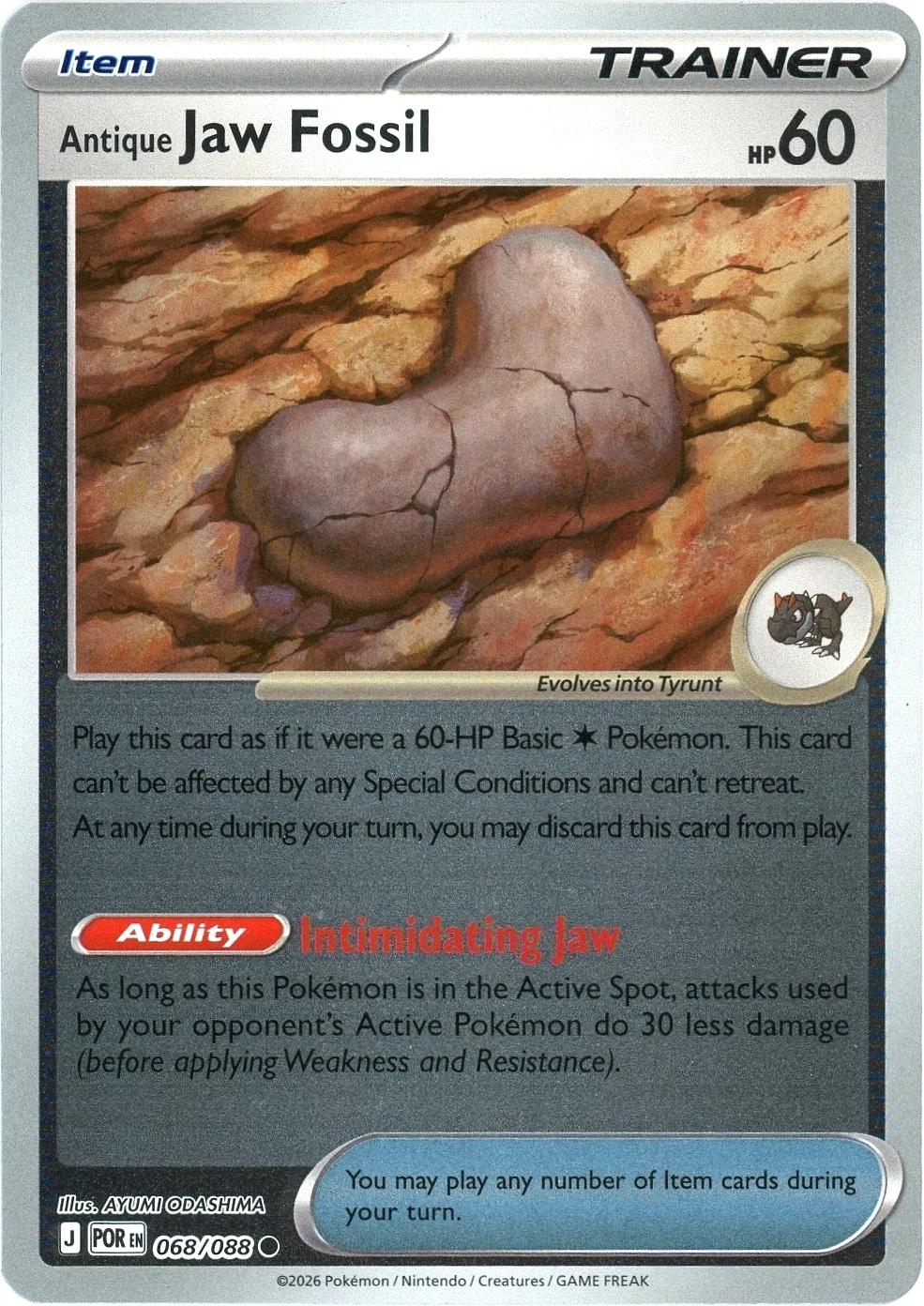 Antique Jaw Fossil