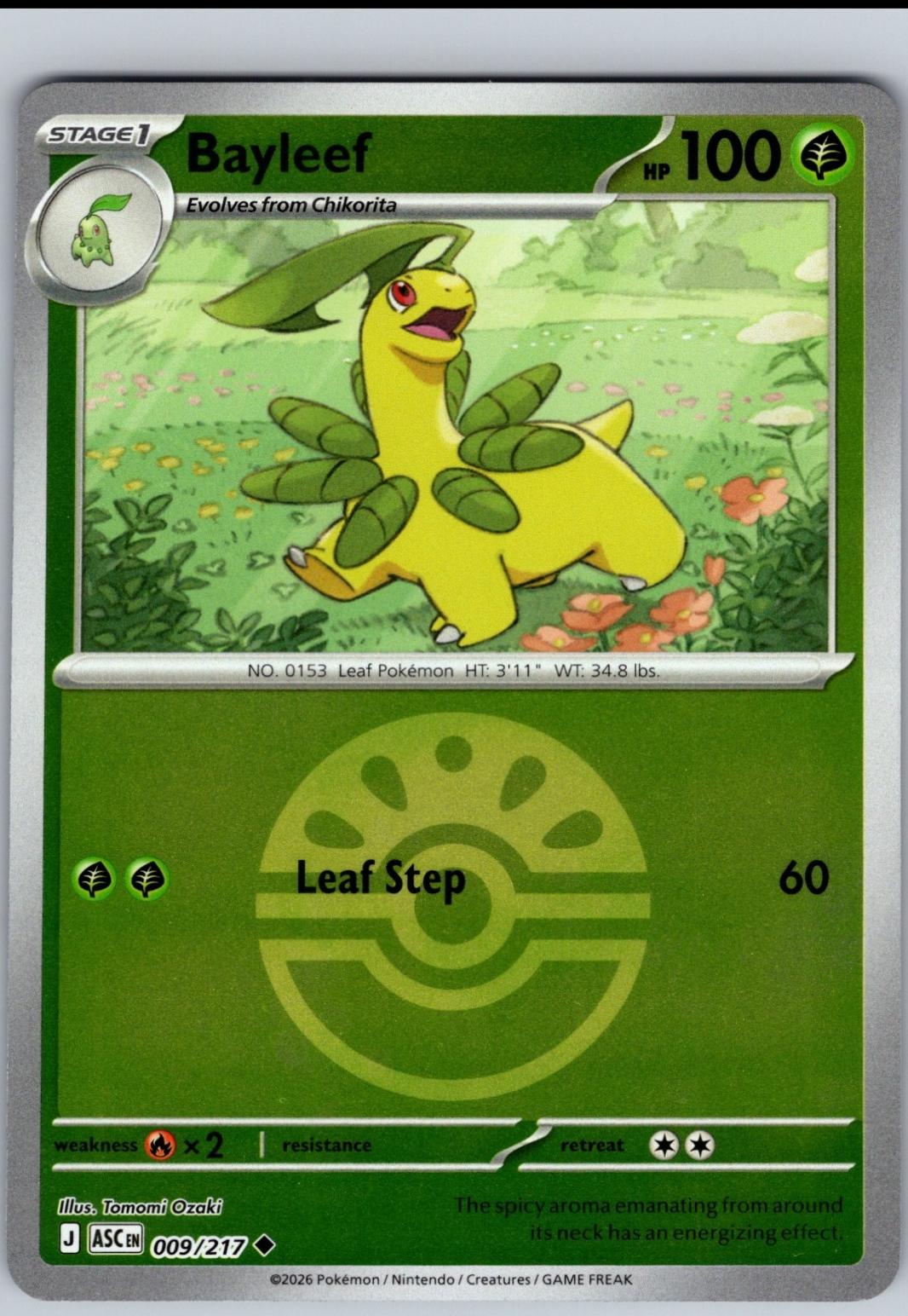 Bayleef