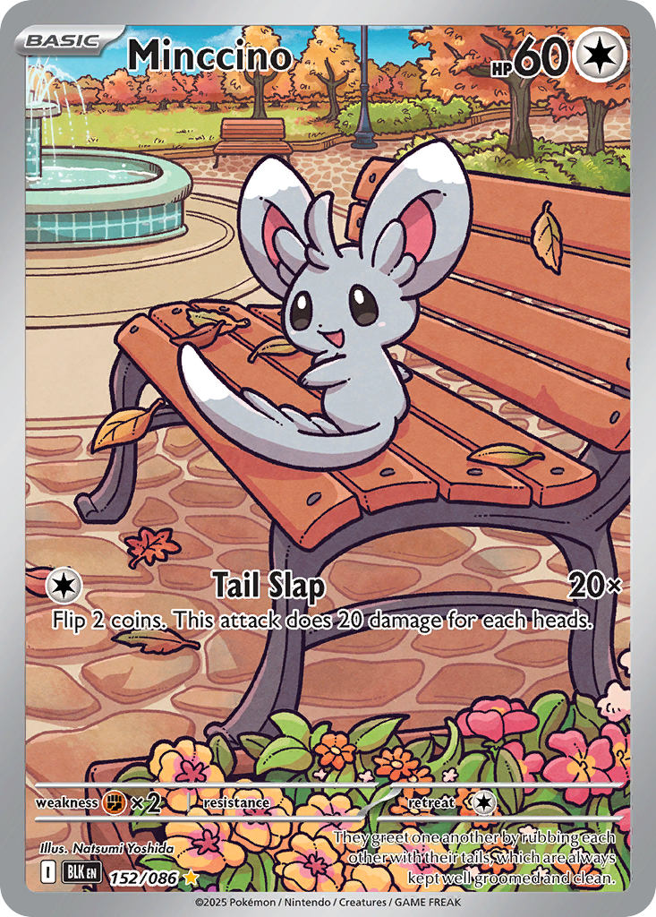 Minccino