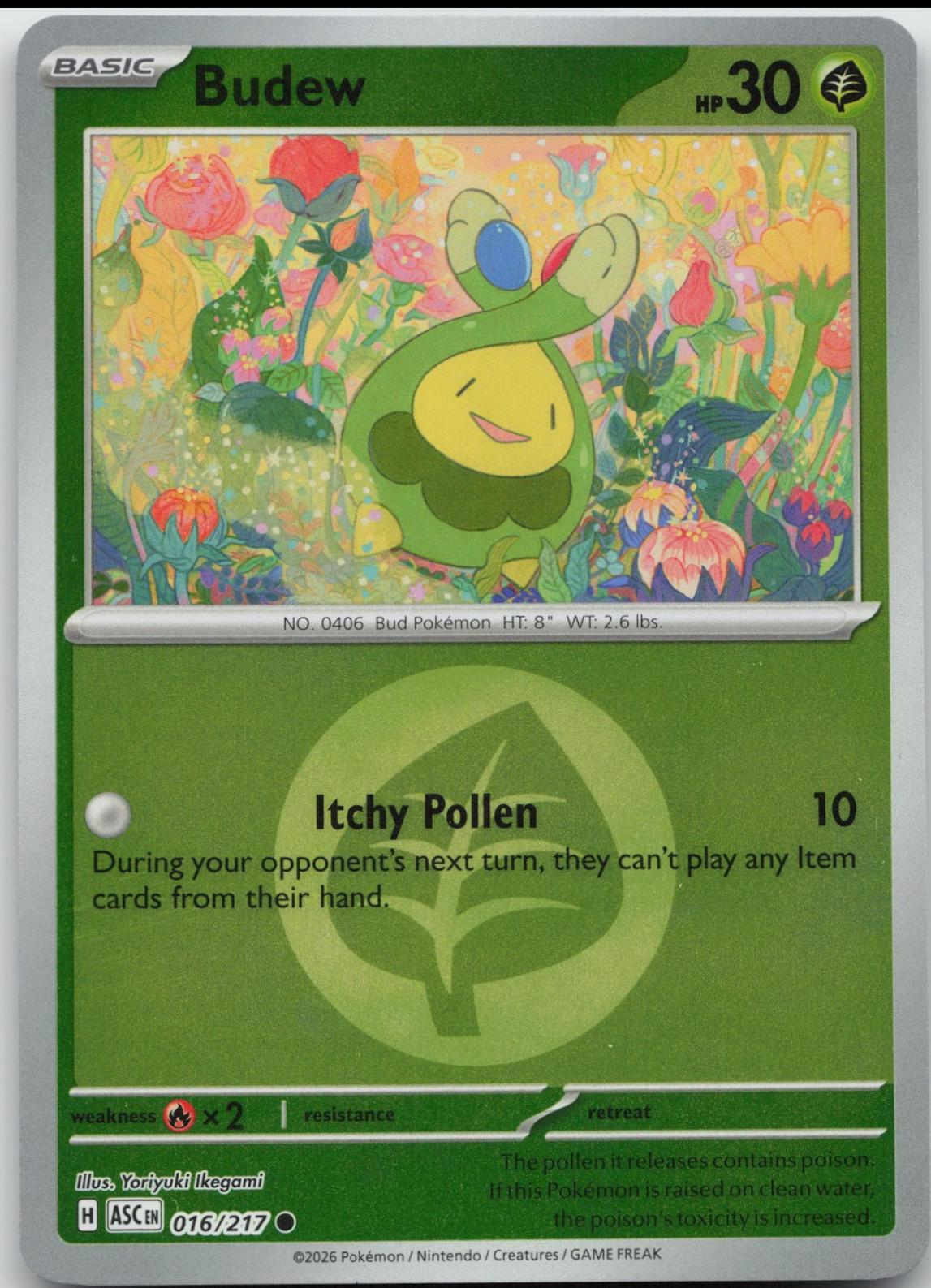 Budew