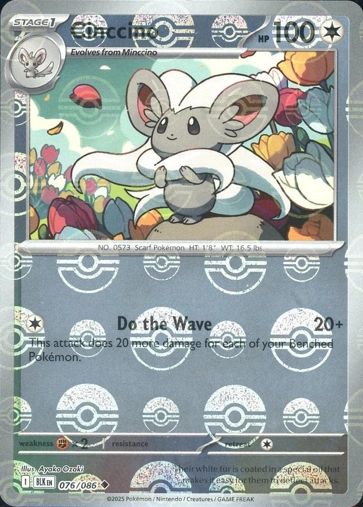 Cinccino
