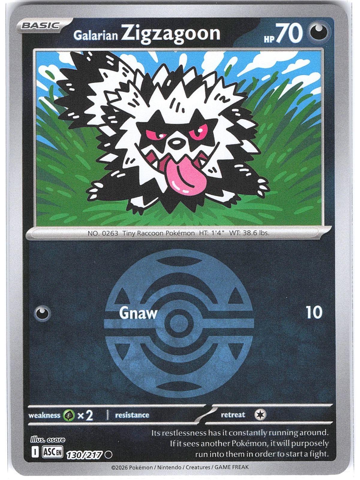 Galarian Zigzagoon