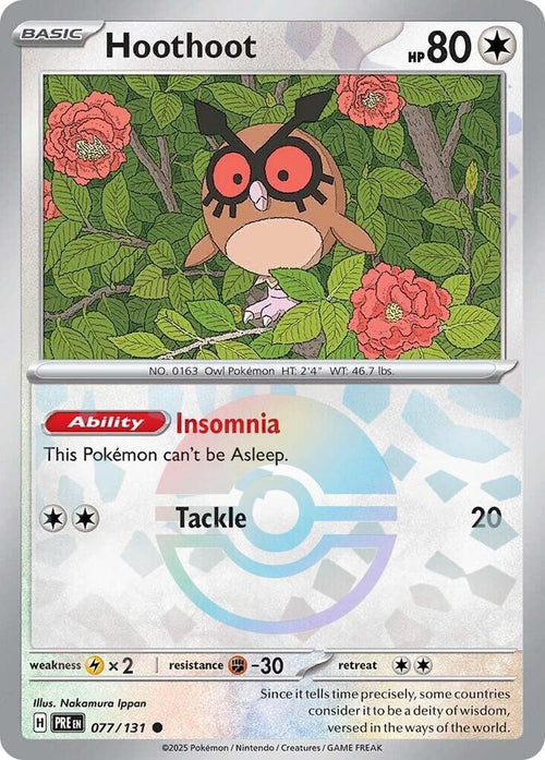 Hoothoot
