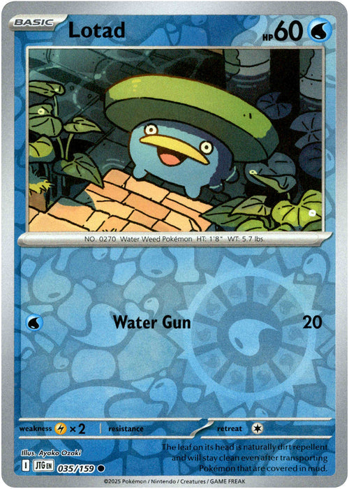 Lotad