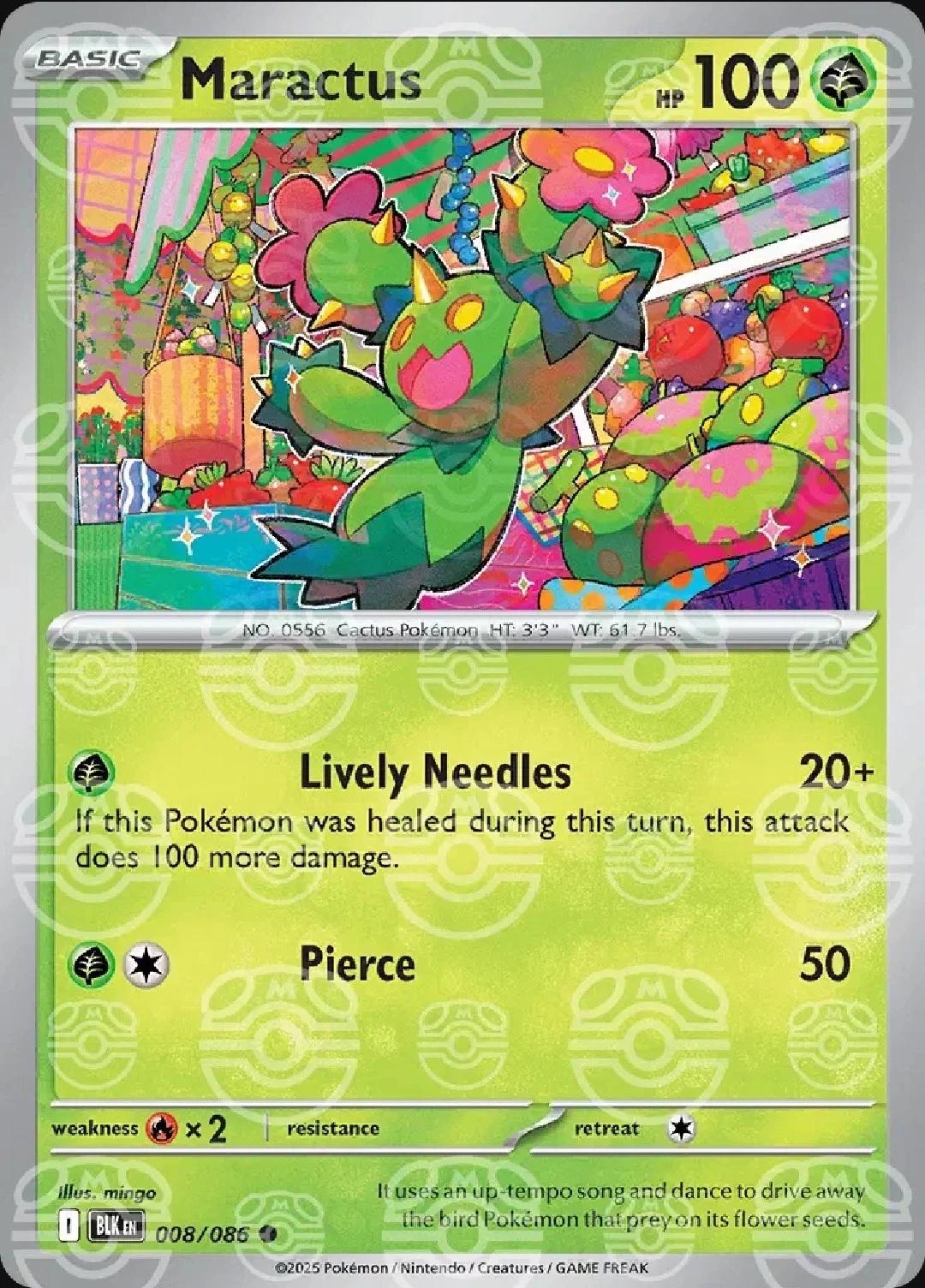 Maractus