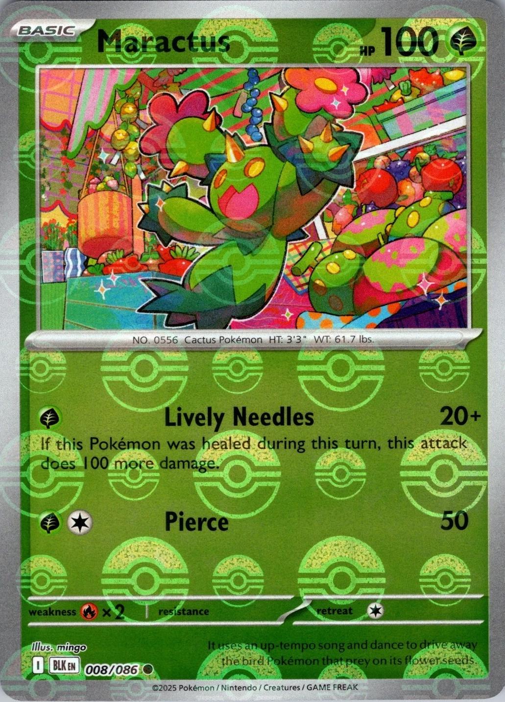 Maractus