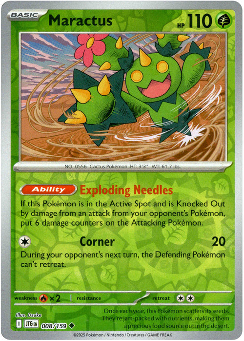 Maractus