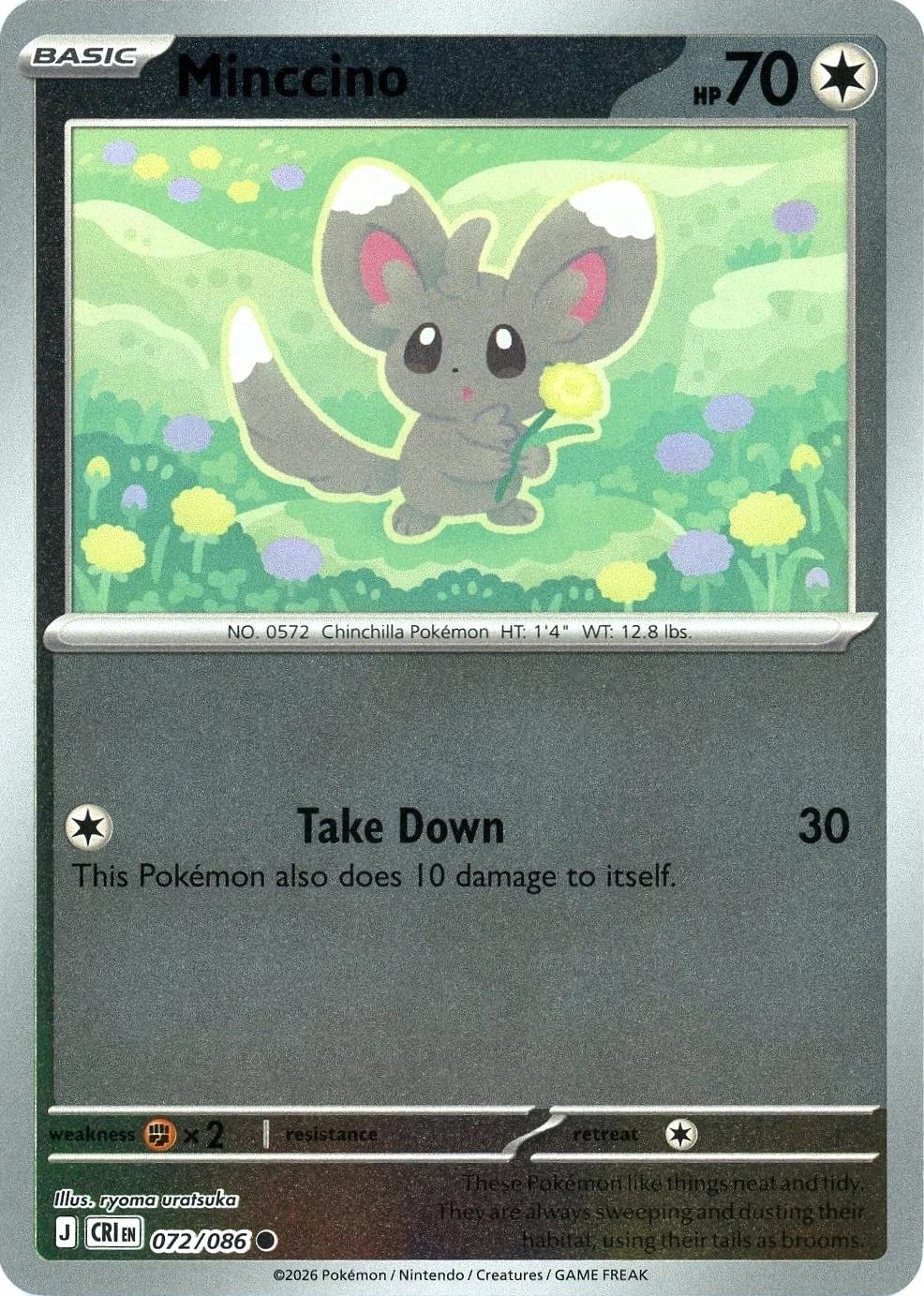 Minccino