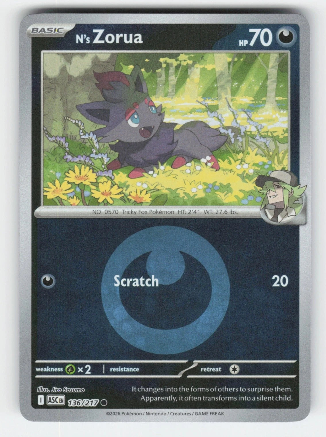 N's Zorua