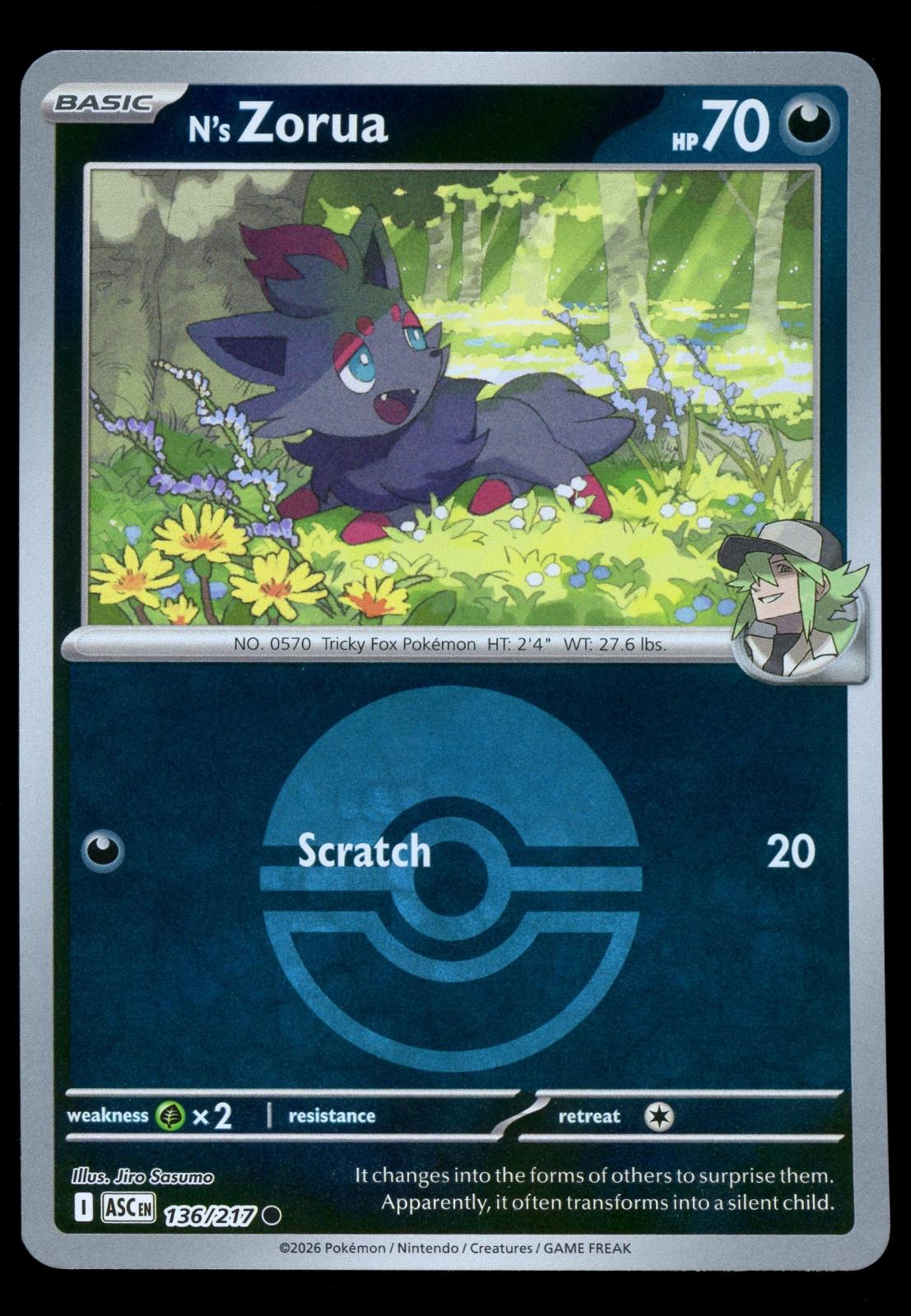 N's Zorua