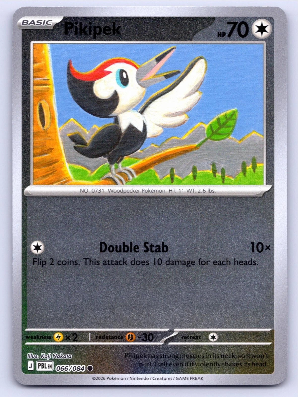 Pikipek