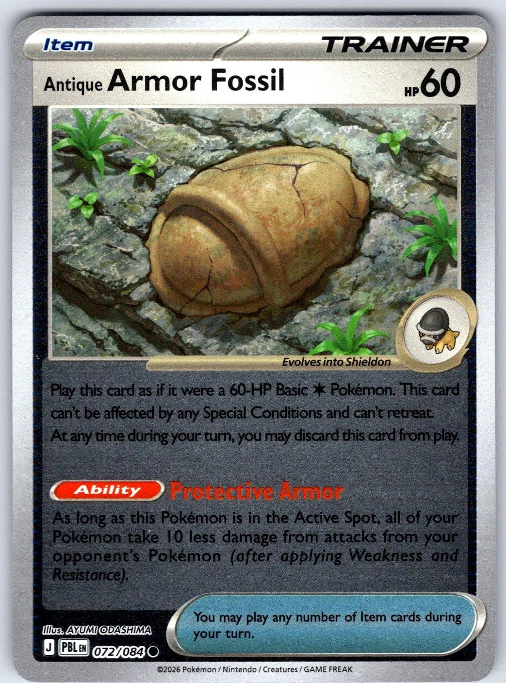 Antique Armor Fossil
