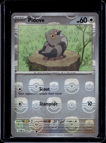 Pidove