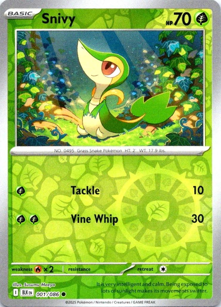 Snivy