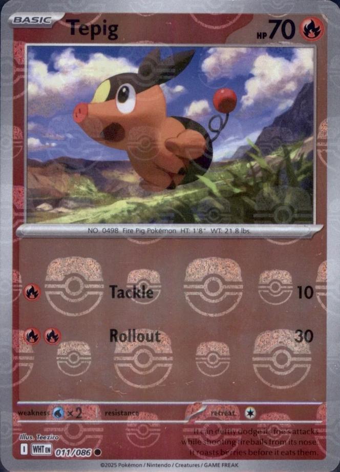 Tepig