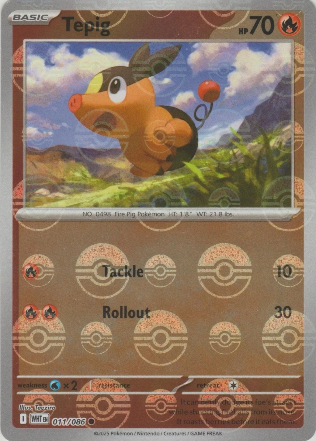 Tepig