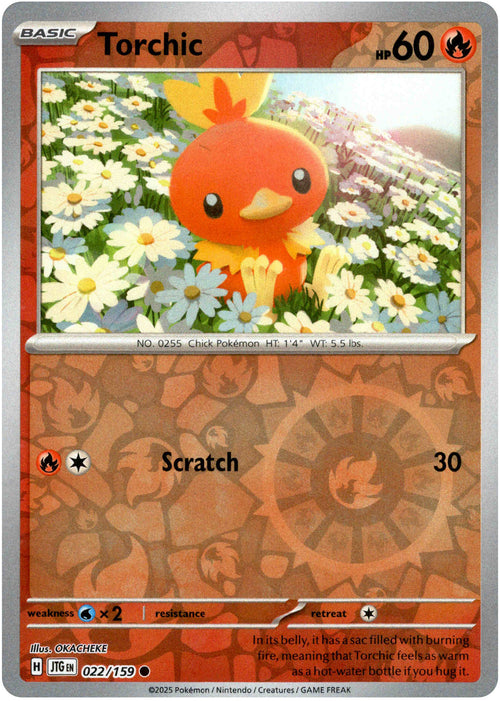 Torchic