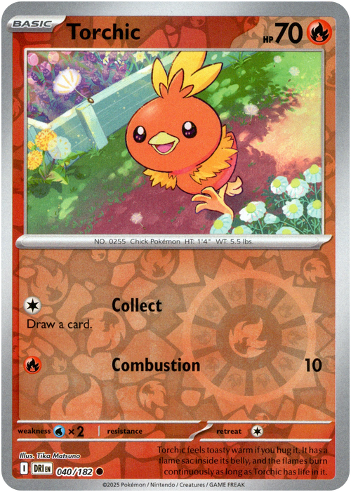 Torchic