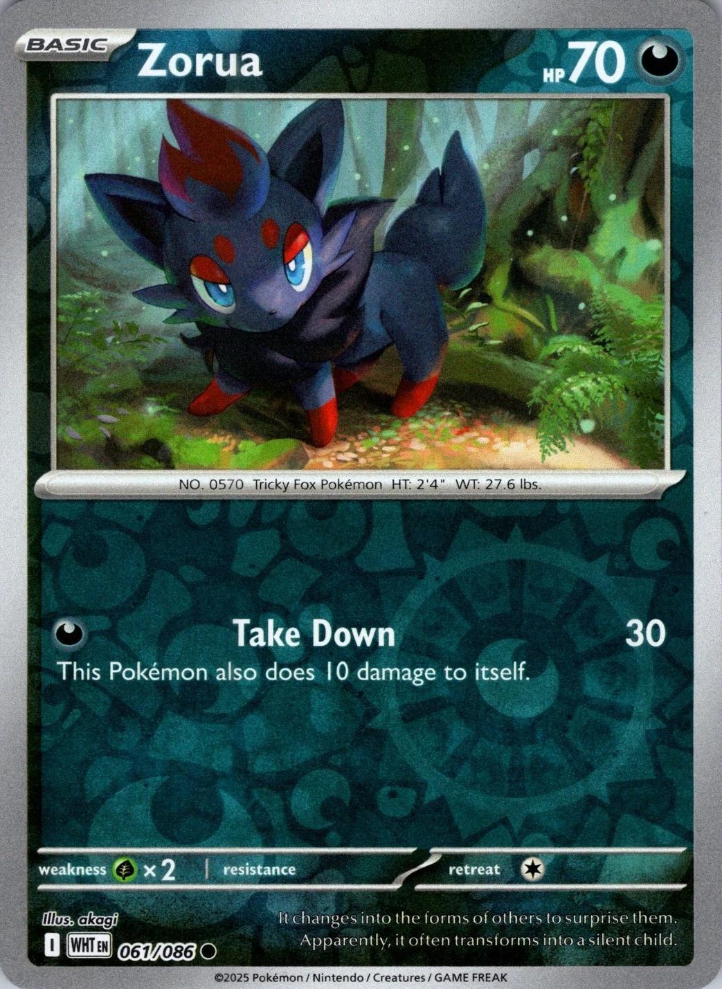 Zorua